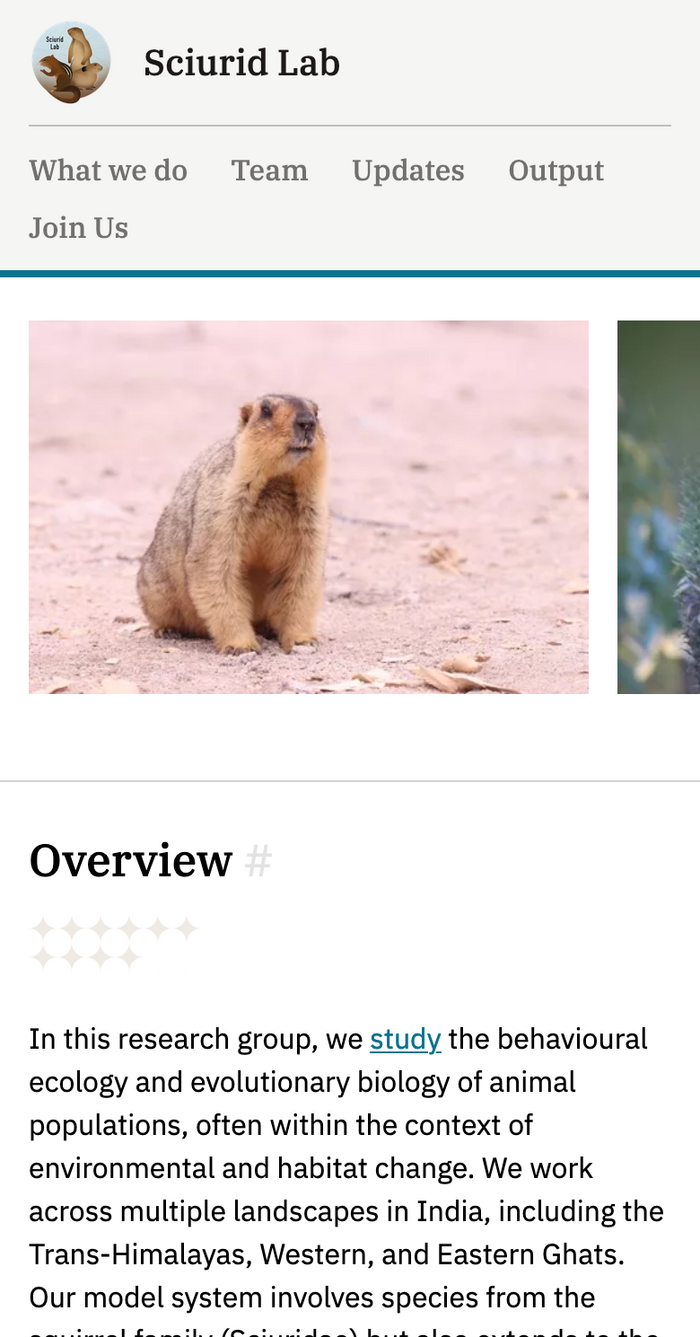 Sciurid Lab Home page